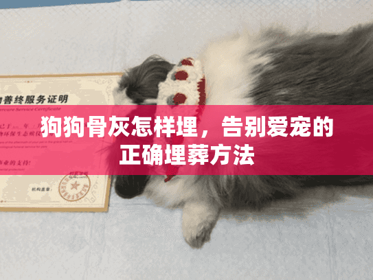 狗狗骨灰怎样埋，告别爱宠的正确埋葬方法