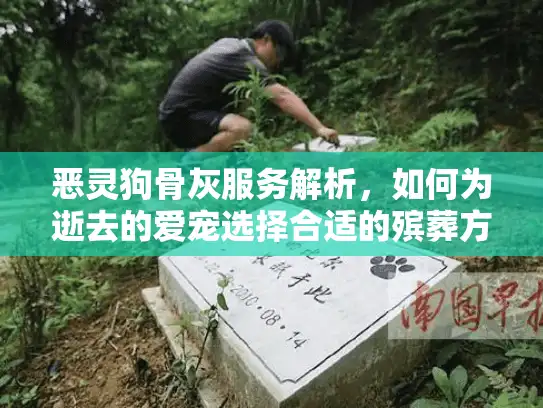 恶灵狗骨灰服务解析,如何为逝去的爱宠选择合适的殡葬方式? 恶灵狗骨灰服务解析,如何为逝去的爱宠选择合适的殡葬方式?