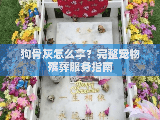 狗骨灰怎么拿？完整宠物殡葬服务指南