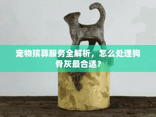 宠物殡葬服务全解析,怎么处理狗骨灰最合适? 宠物殡葬服务全解析,怎么处理狗骨灰最合适?