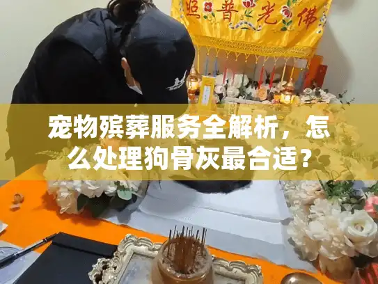 宠物殡葬服务全解析,怎么处理狗骨灰最合适? 宠物殡葬服务全解析,怎么处理狗骨灰最合适?