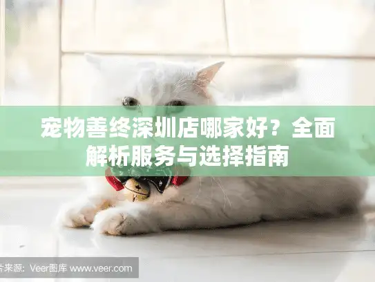 宠物善终深圳店哪家好？全面解析服务与选择指南