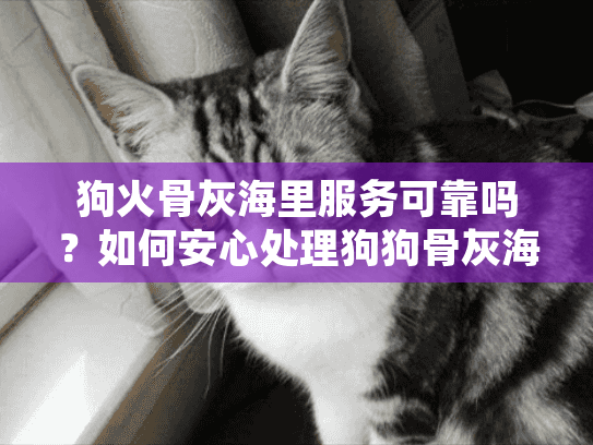 狗火骨灰海里服务可靠吗?如何安心处理狗狗骨灰海葬? 狗火骨灰海里服务可靠吗?如何安心处理狗狗骨灰海葬?