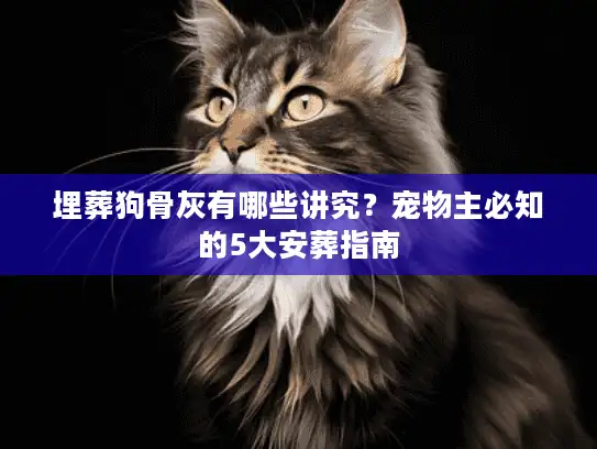 埋葬狗骨灰有哪些讲究？宠物主必知的5大安葬指南