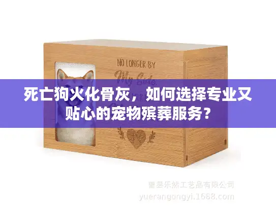 死亡狗火化骨灰，如何选择专业又贴心的宠物殡葬服务？