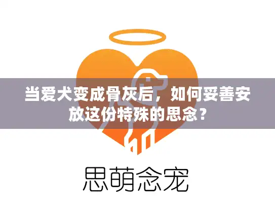 当爱犬变成骨灰后,如何妥善安放这份特殊的思念? 当爱犬变成骨灰后,如何妥善安放这份特殊的思念?