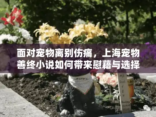 面对宠物离别伤痛,上海宠物善终小说如何带来慰藉与选择指南? 面对宠物离别伤痛,上海宠物善终小说如何带来慰藉与选择指南?