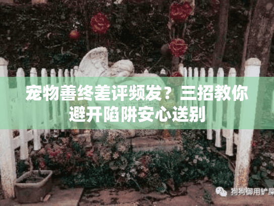 宠物善终差评频发？三招教你避开陷阱安心送别