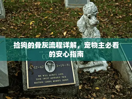 捡狗的骨灰流程详解,宠物主必看的安心指南 捡狗的骨灰流程详解,宠物主必看的安心指南
