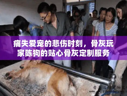 痛失爱宠的悲伤时刻，骨灰玩家陈狗的贴心骨灰定制服务
