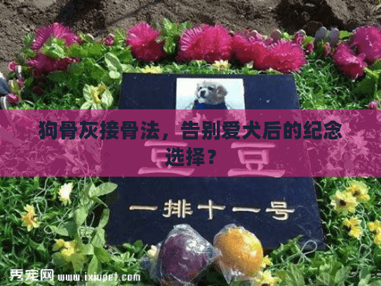 狗骨灰接骨法，告别爱犬后的纪念选择？