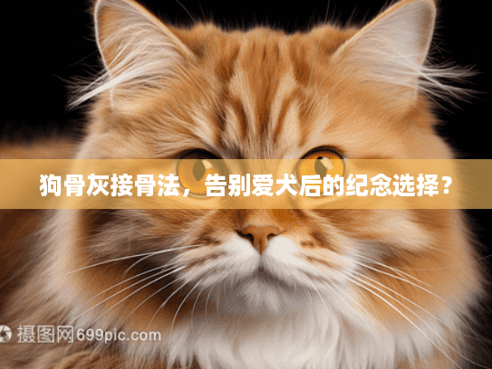 狗骨灰接骨法，告别爱犬后的纪念选择？