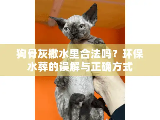 狗骨灰撒水里合法吗？环保水葬的误解与正确方式