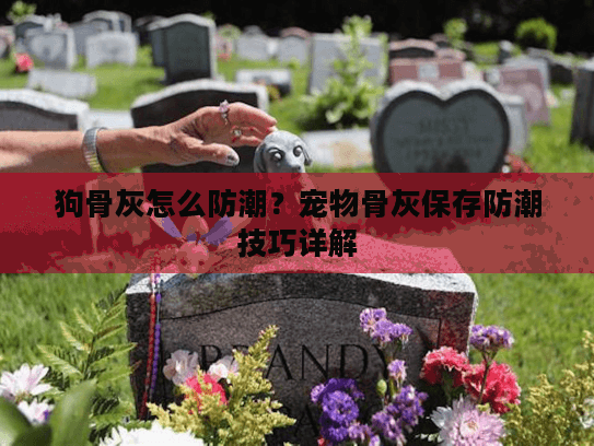 狗骨灰怎么防潮？宠物骨灰保存防潮技巧详解