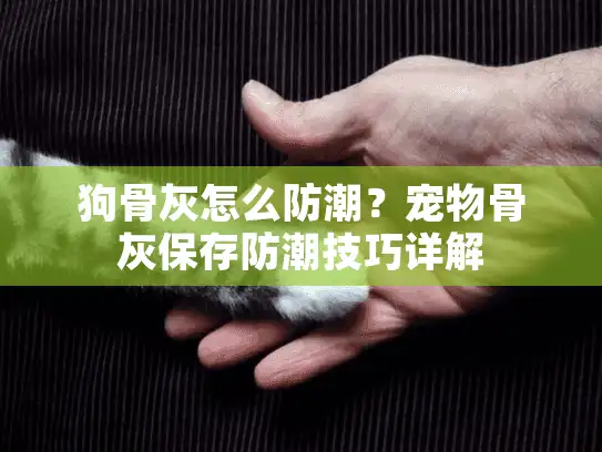 狗骨灰怎么防潮？宠物骨灰保存防潮技巧详解