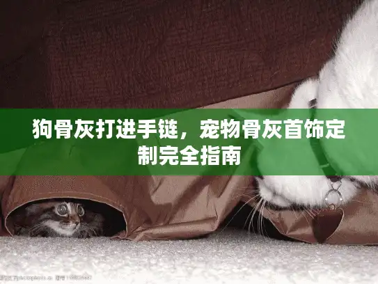 狗骨灰打进手链，宠物骨灰首饰定制完全指南