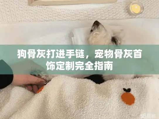 狗骨灰打进手链，宠物骨灰首饰定制完全指南