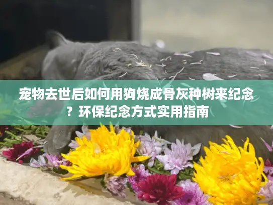 宠物去世后如何用狗烧成骨灰种树来纪念？环保纪念方式实用指南