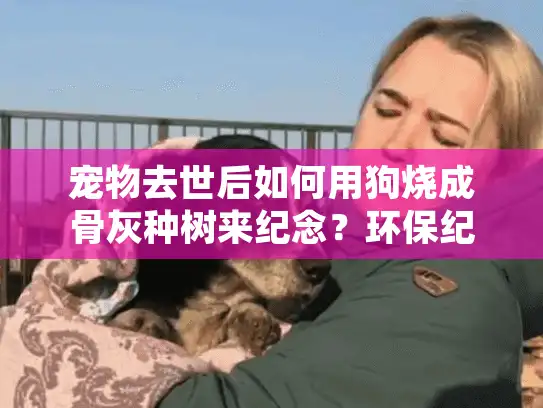 宠物去世后如何用狗烧成骨灰种树来纪念？环保纪念方式实用指南