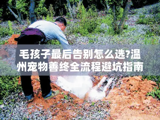 毛孩子最后告别怎么选?温州宠物善终全流程避坑指南
