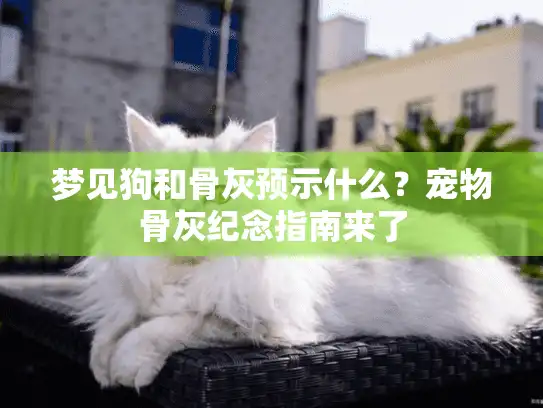 梦见狗和骨灰预示什么?宠物骨灰纪念指南来了 梦见狗和骨灰预示什么?宠物骨灰纪念指南来了