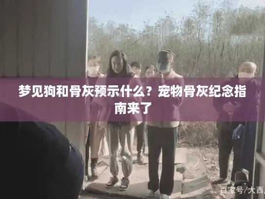 梦见狗和骨灰预示什么?宠物骨灰纪念指南来了 梦见狗和骨灰预示什么?宠物骨灰纪念指南来了