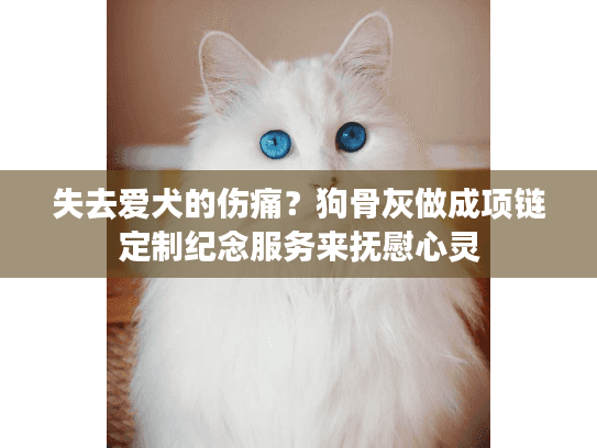 失去爱犬的伤痛？狗骨灰做成项链定制纪念服务来抚慰心灵