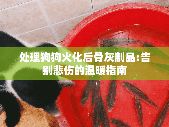 处理狗狗火化后骨灰制品:告别悲伤的温暖指南