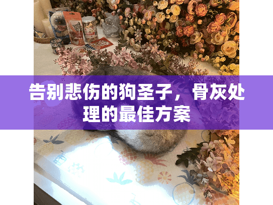 告别悲伤的狗圣子，骨灰处理的最佳方案