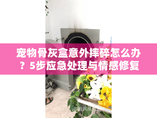 宠物骨灰盒意外摔碎怎么办？5步应急处理与情感修复指南