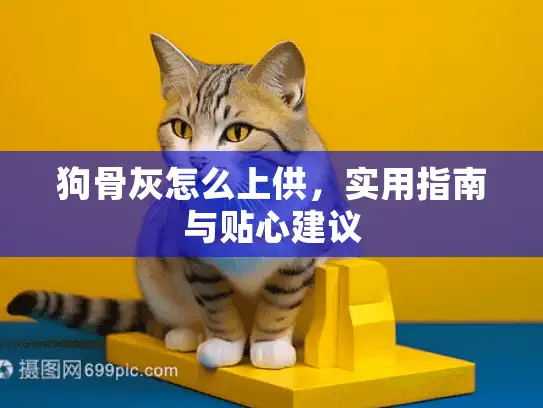 狗骨灰怎么上供,实用指南与贴心建议 狗骨灰怎么上供,实用指南与贴心建议