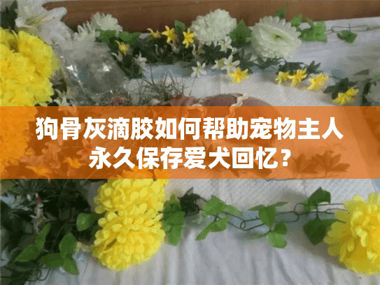 狗骨灰滴胶如何帮助宠物主人永久保存爱犬回忆？