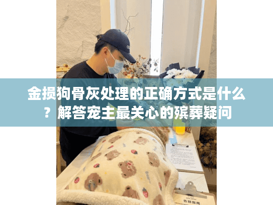金损狗骨灰处理的正确方式是什么？解答宠主最关心的殡葬疑问