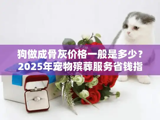 狗做成骨灰价格一般是多少？2025年宠物殡葬服务省钱指南