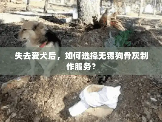 失去爱犬后,如何选择无锡狗骨灰制作服务? 失去爱犬后,如何选择无锡狗骨灰制作服务?