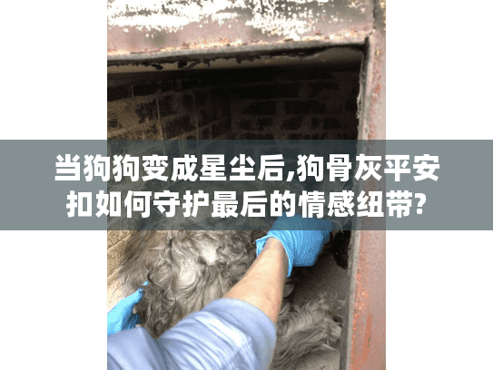 当狗狗变成星尘后,狗骨灰平安扣如何守护最后的情感纽带?