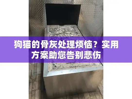 狗猫的骨灰处理烦恼?实用方案助您告别悲伤 狗猫的骨灰处理烦恼?实用方案助您告别悲伤