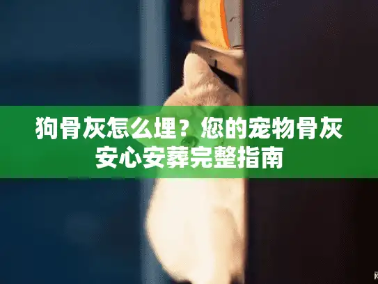 狗骨灰怎么埋？您的宠物骨灰安心安葬完整指南