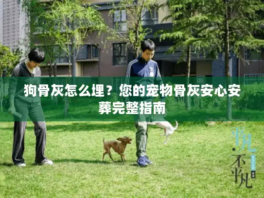 狗骨灰怎么埋？您的宠物骨灰安心安葬完整指南