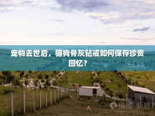 宠物去世后,猫狗骨灰钻戒如何保存珍贵回忆? 宠物去世后,猫狗骨灰钻戒如何保存珍贵回忆?