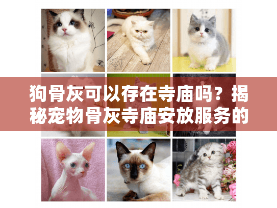 狗骨灰可以存在寺庙吗？揭秘宠物骨灰寺庙安放服务的真相