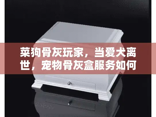 菜狗骨灰玩家,当爱犬离世,宠物骨灰盒服务如何抚平伤痛? 菜狗骨灰玩家,当爱犬离世,宠物骨灰盒服务如何抚平伤痛?