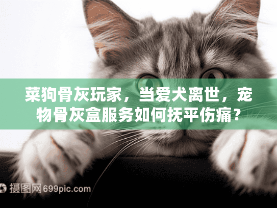 菜狗骨灰玩家,当爱犬离世,宠物骨灰盒服务如何抚平伤痛? 菜狗骨灰玩家,当爱犬离世,宠物骨灰盒服务如何抚平伤痛?