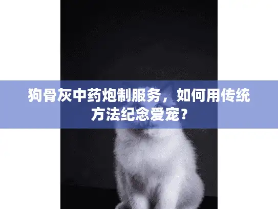 狗骨灰中药炮制服务,如何用传统方法纪念爱宠? 狗骨灰中药炮制服务,如何用传统方法纪念爱宠?
