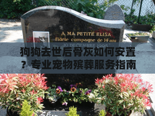 狗狗去世后骨灰如何安置？专业宠物殡葬服务指南