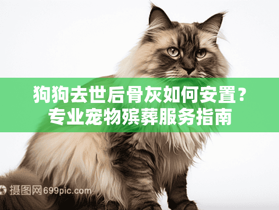 狗狗去世后骨灰如何安置？专业宠物殡葬服务指南