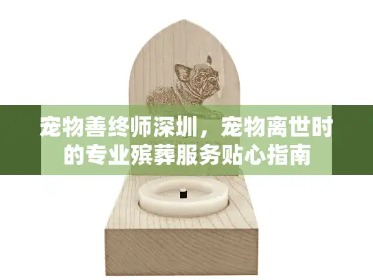 宠物善终师深圳，宠物离世时的专业殡葬服务贴心指南