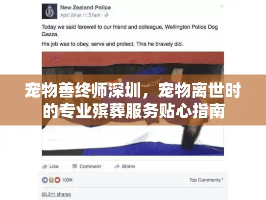 宠物善终师深圳，宠物离世时的专业殡葬服务贴心指南