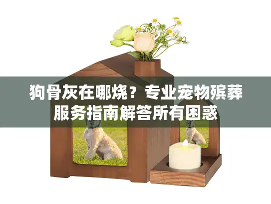狗骨灰在哪烧?专业宠物殡葬服务指南解答所有困惑 狗骨灰在哪烧?专业宠物殡葬服务指南解答所有困惑