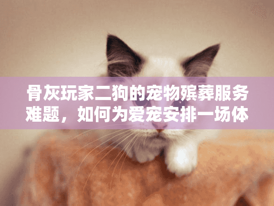 骨灰玩家二狗的宠物殡葬服务难题,如何为爱宠安排一场体面的告别? 骨灰玩家二狗的宠物殡葬服务难题,如何为爱宠安排一场体面的告别?